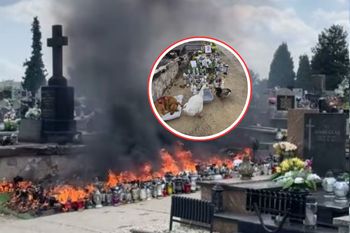 4 dni po pożarze grobu Litewki. Znów się pojawili. Śpią na cmentarzu