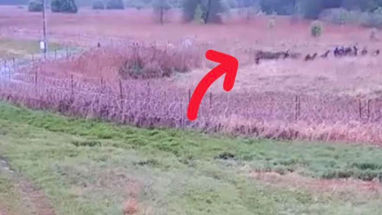Migranci ruszyli na polską granicę. Wszystko się nagrało