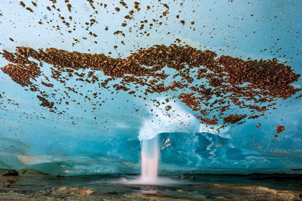 Oto najlepsze zdjęcia przyrodnicze z Europy. Zobaczcie fotografie zwycięzców konkursu GDT European Wildlife Photographer of the Year 2017 14