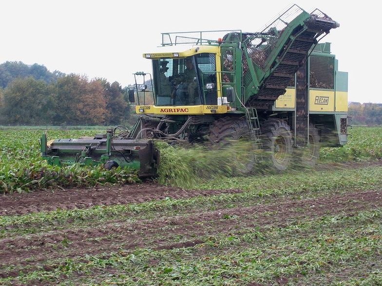 Jurgiel zachęca rolników i cukrowników do zawarcia porozumienia branżowego