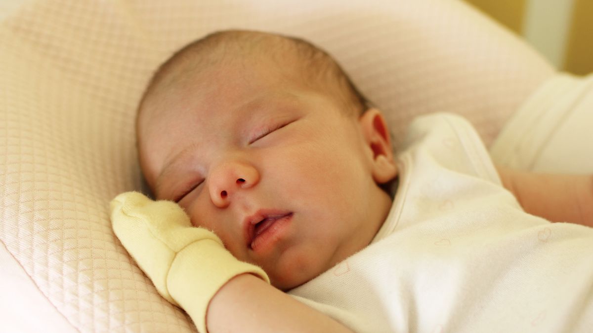 Australijscy naukowcy obalają  teorię o dziedziczności płci potomstwa