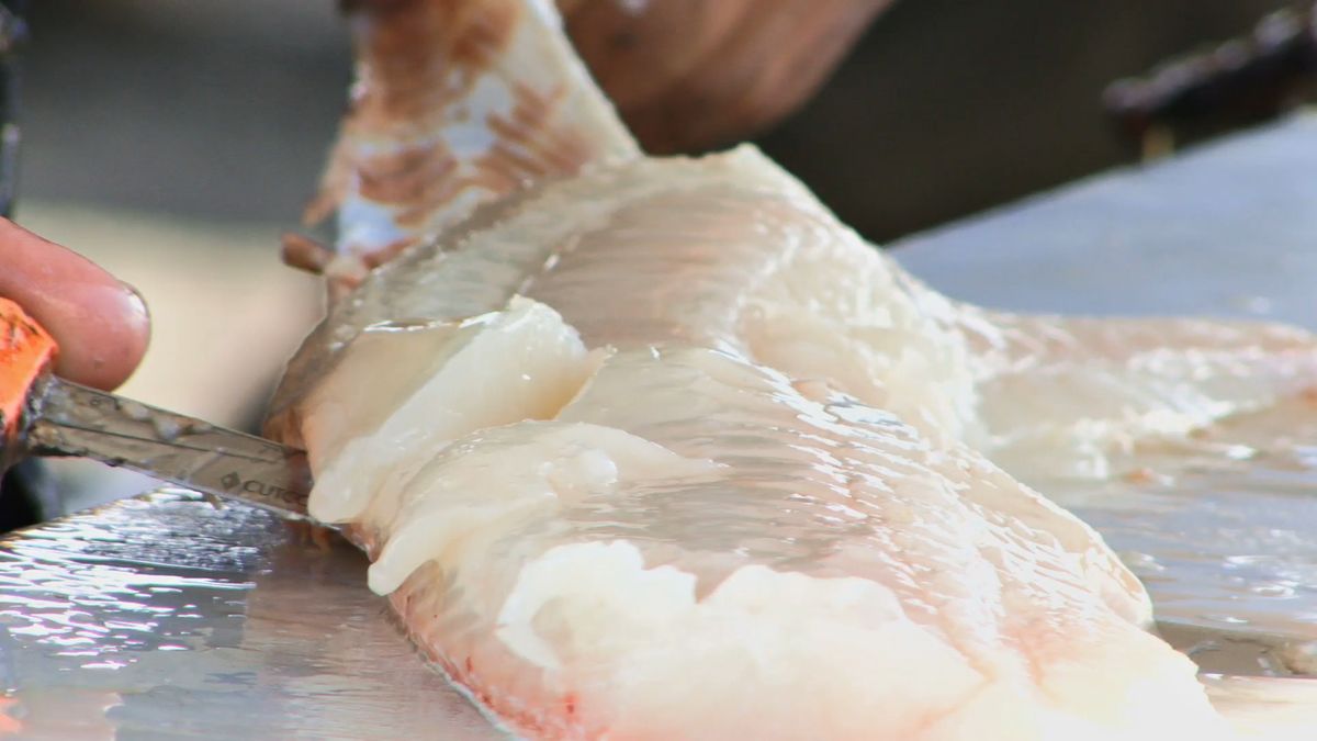 Śledź i dorsz pomagają zapobiegać chorobie Parkinsona