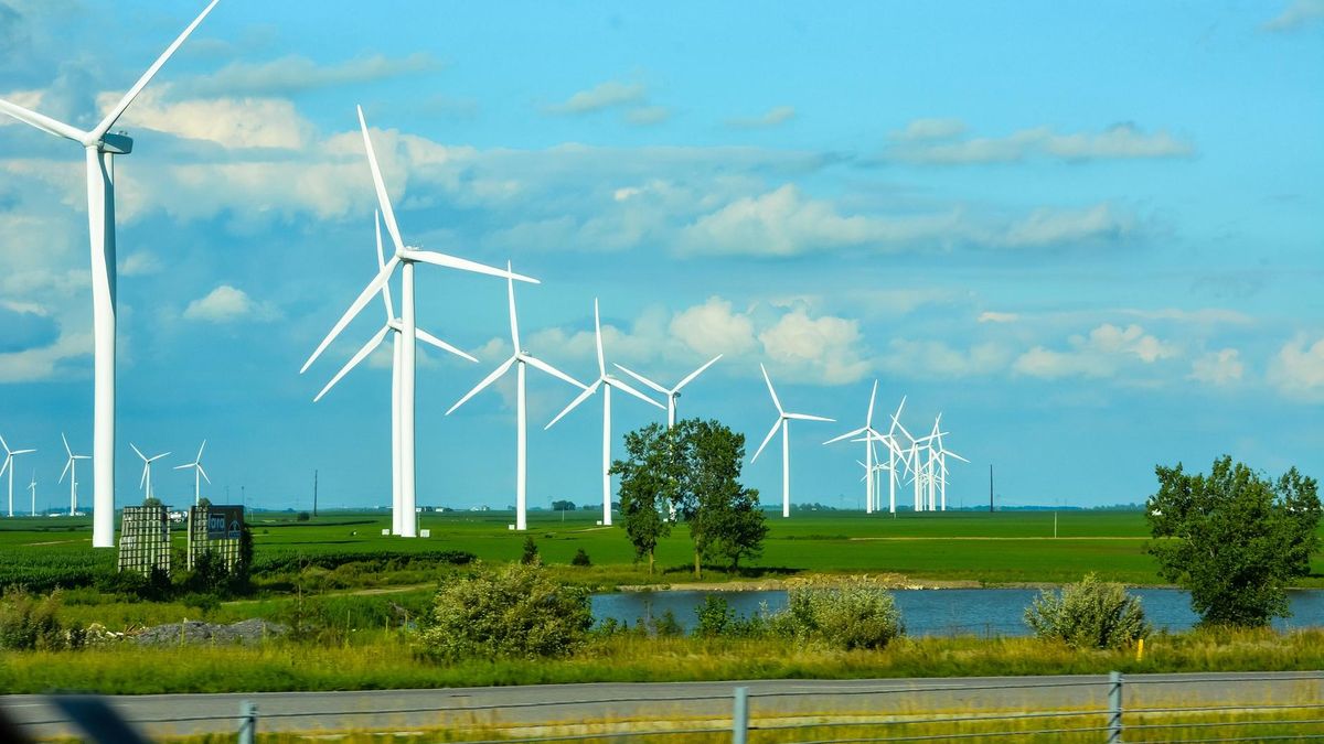 Rusza apolityczna akcja dotycząca zarządzania energią