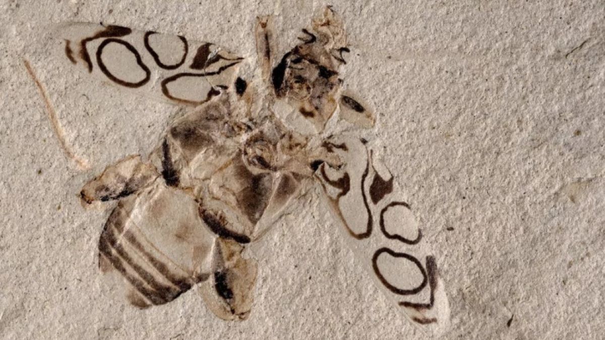 Niesamowite odkrycie naukowców 