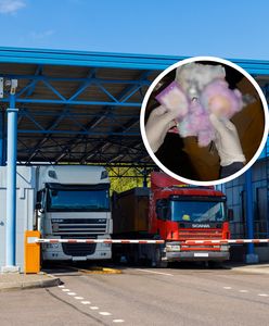 Niebezpieczne Labubu. Celnicy przejęli podróbki groźne dla zdrowia