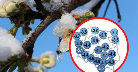 Pogoda na kwiecień. Mamy najnowszą prognozę długoterminową