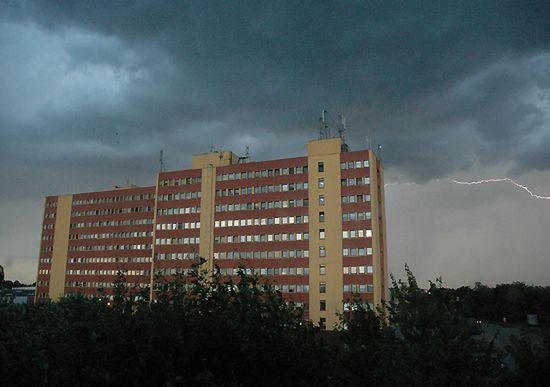Obraz