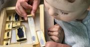 Poznań chce być “Miastem Przyjaznym Dzieciom” programu UNICEF