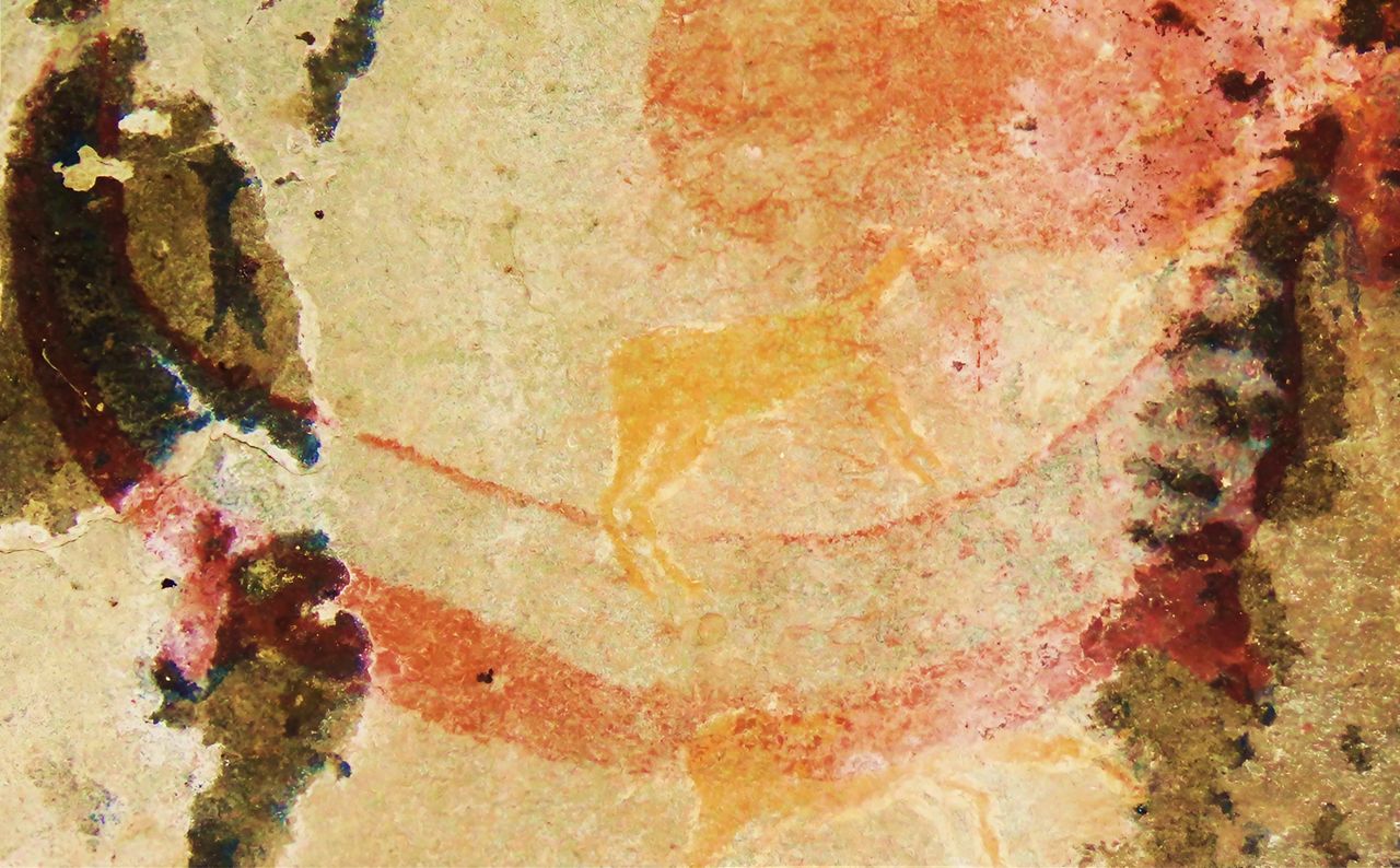 Discovery of extinct animal in San rock art predates known science