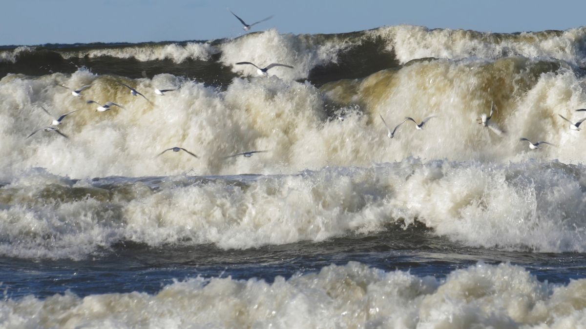 Cyklon Tymoteusz spowoduje sztorm na Bałtyku