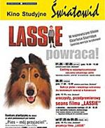 Casting na najsympatyczniejszego owczarka collie