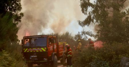 Pożary w Portugalii. Ewakuacje i ogromne straty