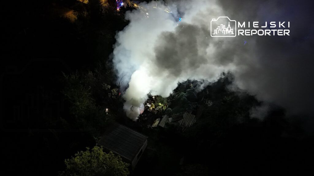 Gęsty dym wydobywający się z zarośli w ciemnej okolicy, otoczonej drzewami i zniszczonymi strukturami.