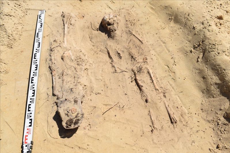 Niezwykłe odkrycie na budowie drogi ekspresowej. Znaleziono 115 grobów szkieletowych