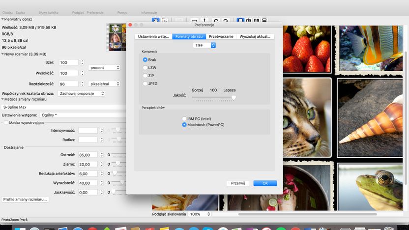 PhotoZoom Pro 6