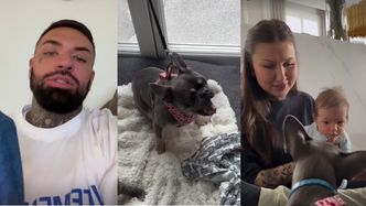 Daniel Majewski pokazał, jak Didi ATAKOWAŁA małego Romeo! "Znów pokazała swoją CIEMNĄ STRONĘ"