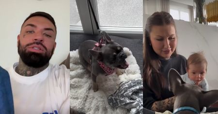 Daniel Majewski pokazał, jak Didi ATAKOWAŁA małego Romeo! "Znów pokazała swoją CIEMNĄ STRONĘ"
