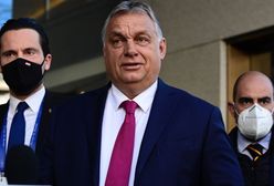 "To się nigdy dobrze nie kończy". Ekspert przestrzega przed "scenariuszem węgierskim"