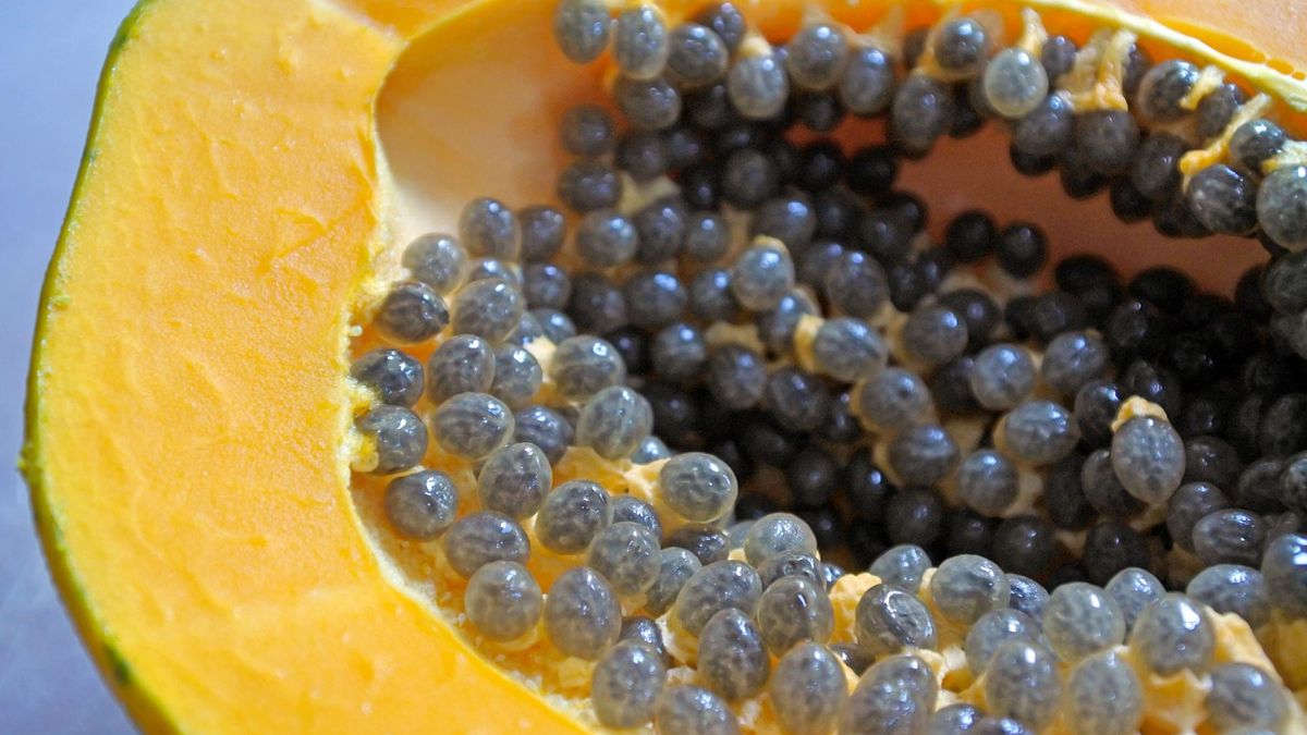 Osoby uczulone na lateks są jednocześnie uczuleni na papaję. 