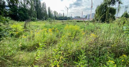 Wrocław. Jak będzie wyglądał Park Krzycki? Jest drugi przetarg