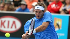 ATP Waszyngton: Del Potro broni tytułu