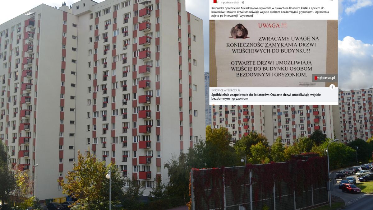 Oburzenie w Katowicach/zdjęcie ilustracyjne