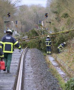 Orkan Antonina w Niemczech. Nadciągają wichury, ulewne deszcze i burze
