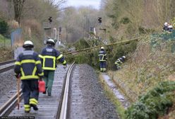 Orkan Antonina w Niemczech. Nadciągają wichury, ulewne deszcze i burze