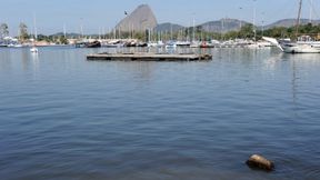 Tarnowski: trener widział dryfującą lodówkę