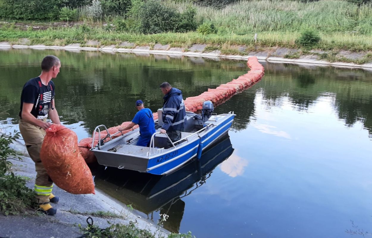 Dramatyczne doniesienia ze Śląska. Wyłowiono już 10 ton śniętych ryb