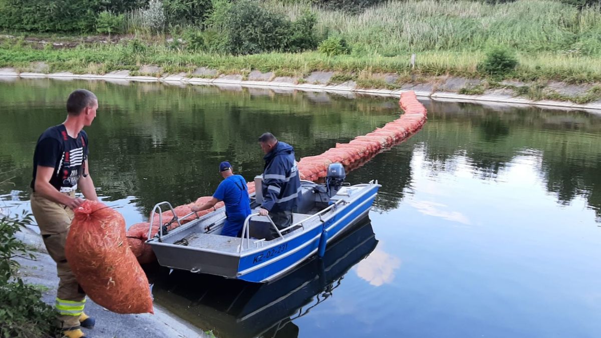 Śląsk: służby wyłowiły już niemal 10 ton śniętych ryb