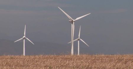 Raport: farmy wiatrowe nie wpływają na ceny gruntów