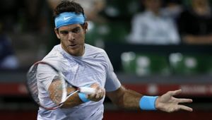 ATP Stuttgart: Del Potro pokonał Dimitrowa, Fritz rywalem Federera