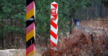 Niemcy stawiają ogrodzenie na granicy z Polską. Strach przed wirusem ASF