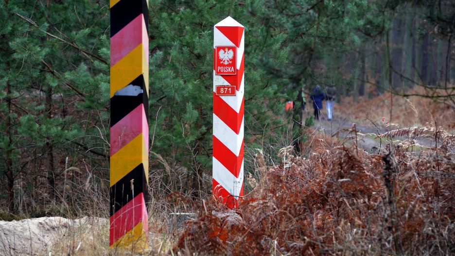 Niemcy stawiają ogrodzenie na granicy z Polską. Strach przed wirusem ASF