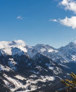 20 lat po tragedii. Tatry nie zapomną ofiar lawiny, która pochłonęła 7 licealistów i opiekuna z Tychów