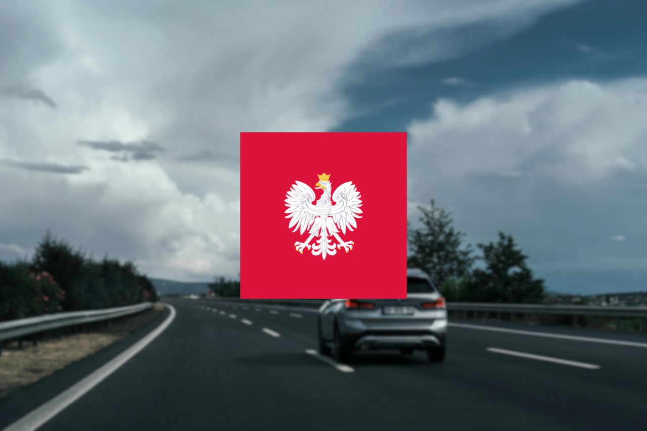 Masz mObywatela? Oszuści wysyłają SMS-y z mandatem