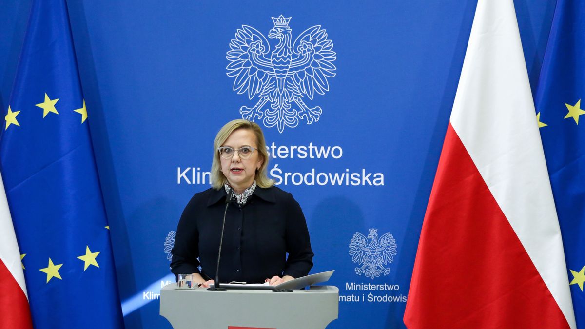 Na zdjęciu minister Anna Moskwa w trakcie konferencji prasowej