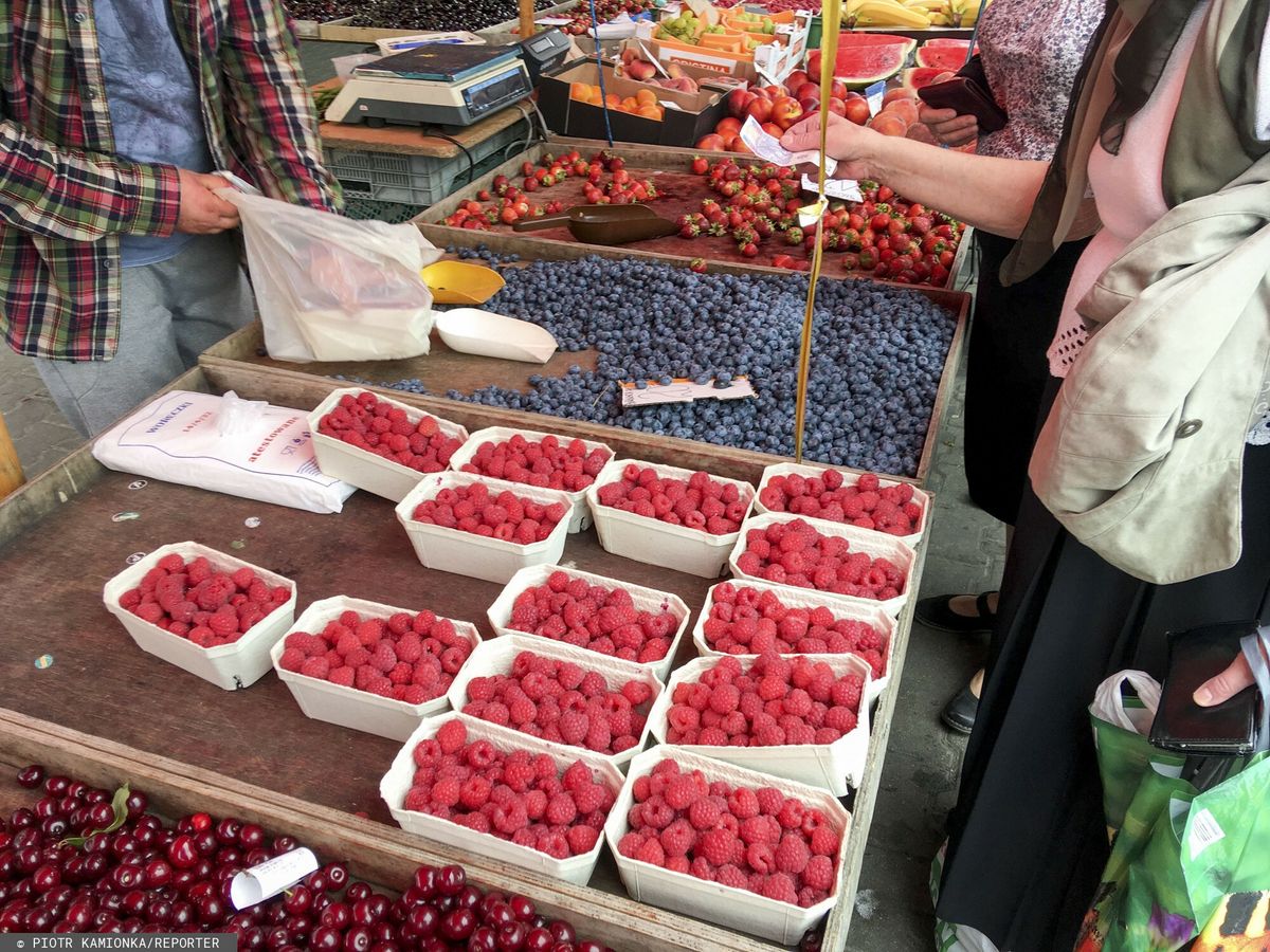 Po truskawkach czas na maliny. Cena zwala z nóg