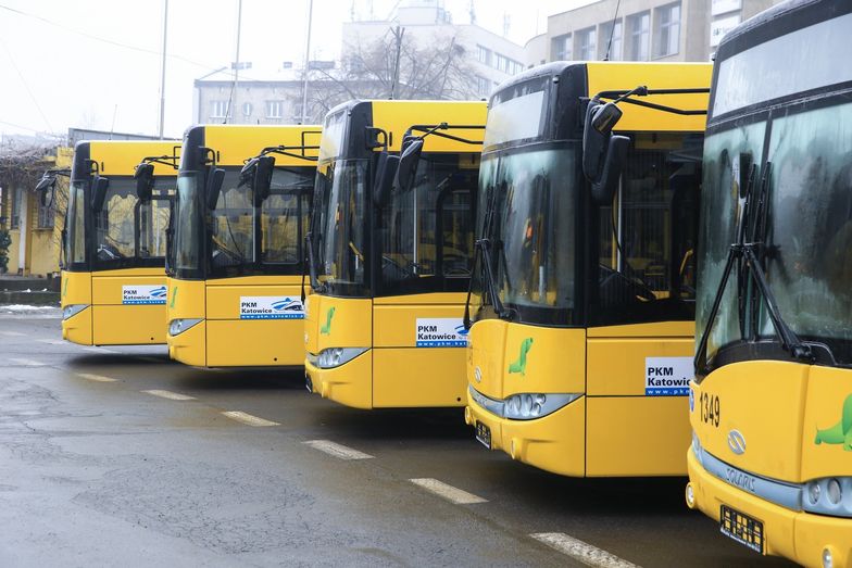 Na zdjęciu autobusy Solaris Urbino 12 wyprodukowane dla Katowic