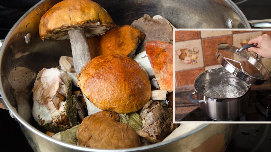 Gotowanie grzybów leśnych