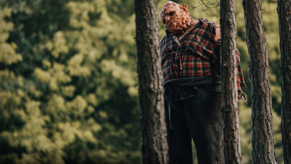 Efekt kwarantanny. Netflix bije swój polski rekord 1