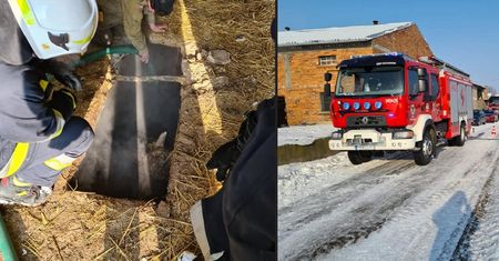 Nietypowa akcja ratunkowa. Strażacy przecierali oczy ze zdumienia