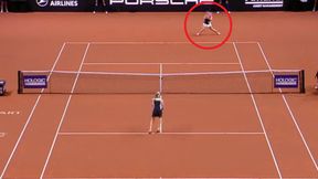 W hali rozległy się głośne brawa. Cóż za zagranie Świątek!