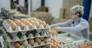Za średnią pensję kupimy ponad 7,6 tysiąca jaj. Święta będą bogate