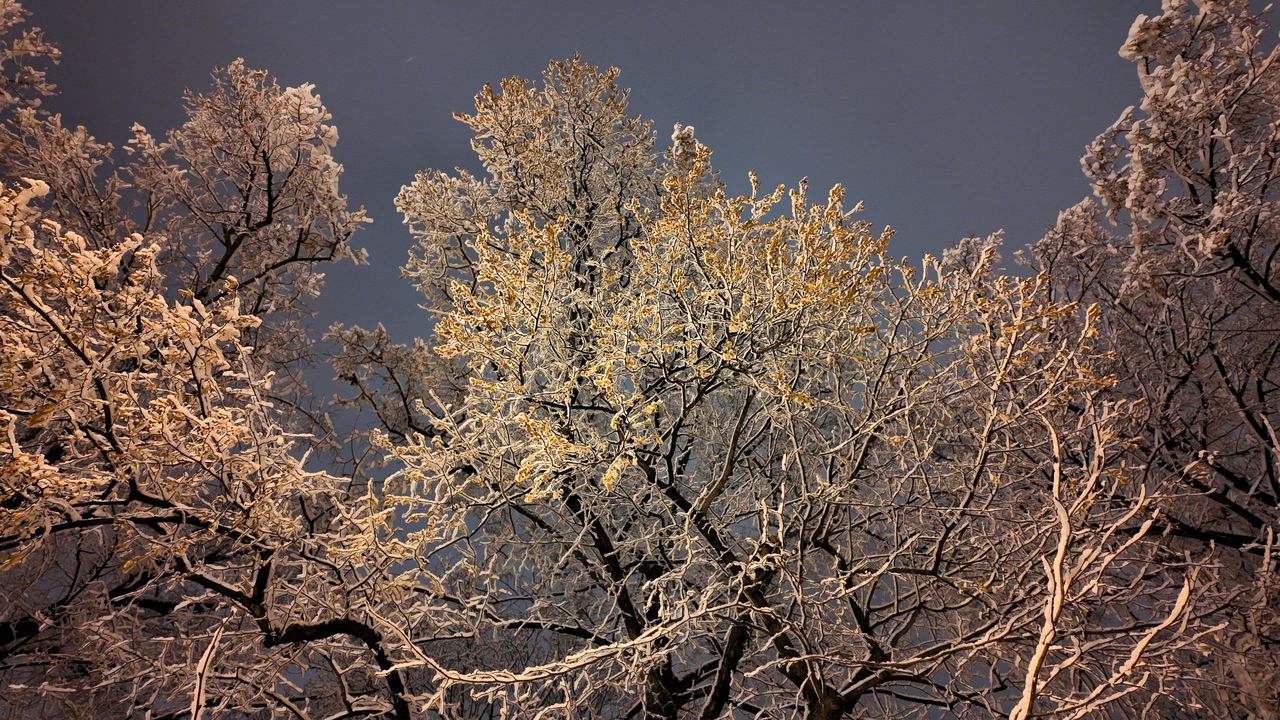 Pierwszy śnieg w Parku Staszica w Częstochowie, 26 listopada 202