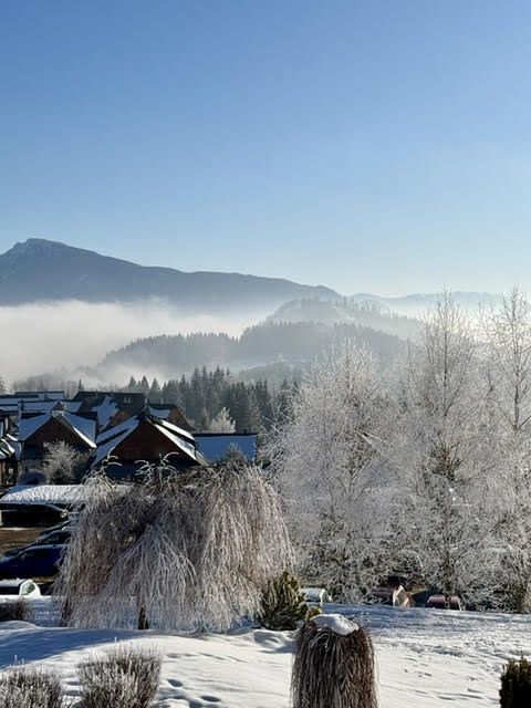 Orawa zimą zachwyca