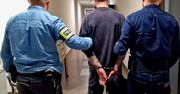 Kalisz: Wyprowadzał kota na smyczy. Podrzucał i kopał zwierzę, zareagowali świadkowie