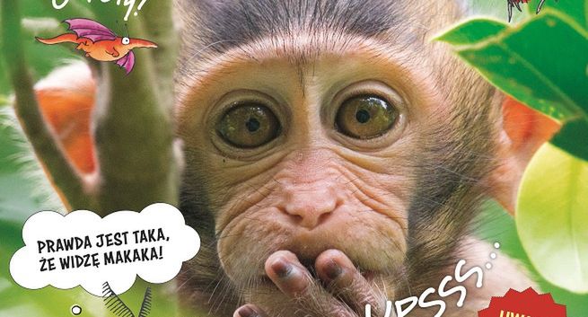 Nowy magazyn popularnonaukowy dla dzieci "Świerszczyk Reporter"