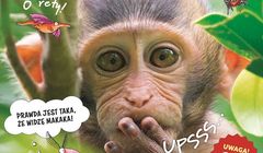 Nowy magazyn popularnonaukowy dla dzieci "Świerszczyk Reporter"